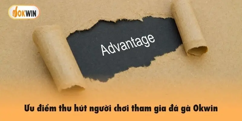Ưu điểm thu hút người chơi tham gia đá gà Okwin