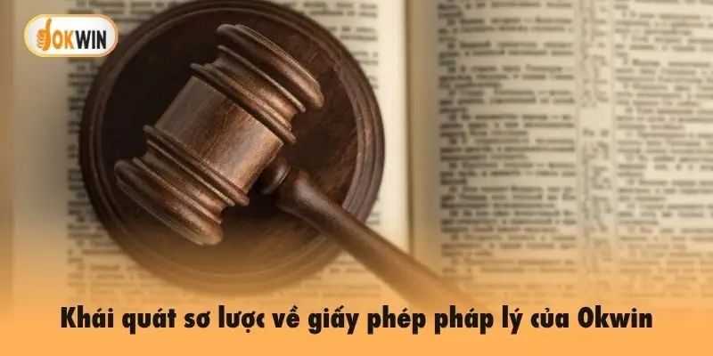 Khái quát sơ lược về giấy phép pháp lý của Okwin