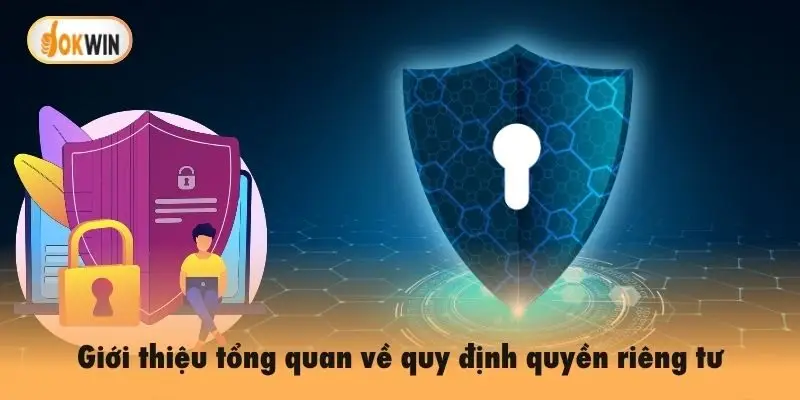 Giới thiệu tổng quan về quy định quyền riêng tư