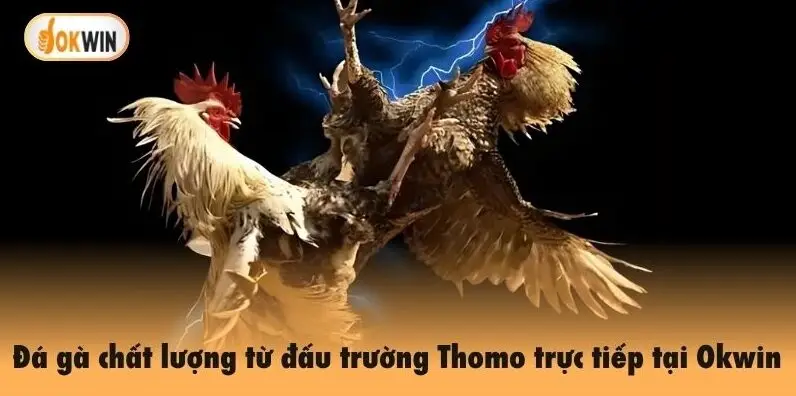 Hỗ trợ khách hàng 24/7 tại trang chủ Okwin