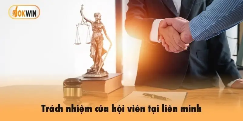 Trách nhiệm của hội viên tại liên minh trong miễn trừ trách nhiệm