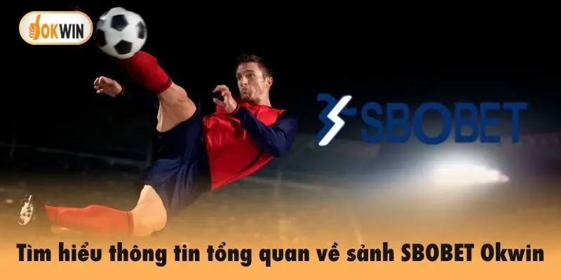 Tìm hiểu thông tin tổng quan về sảnh SBOBET Okwin